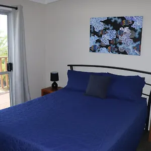 Hostel Pippies Beachhouse Backpackers